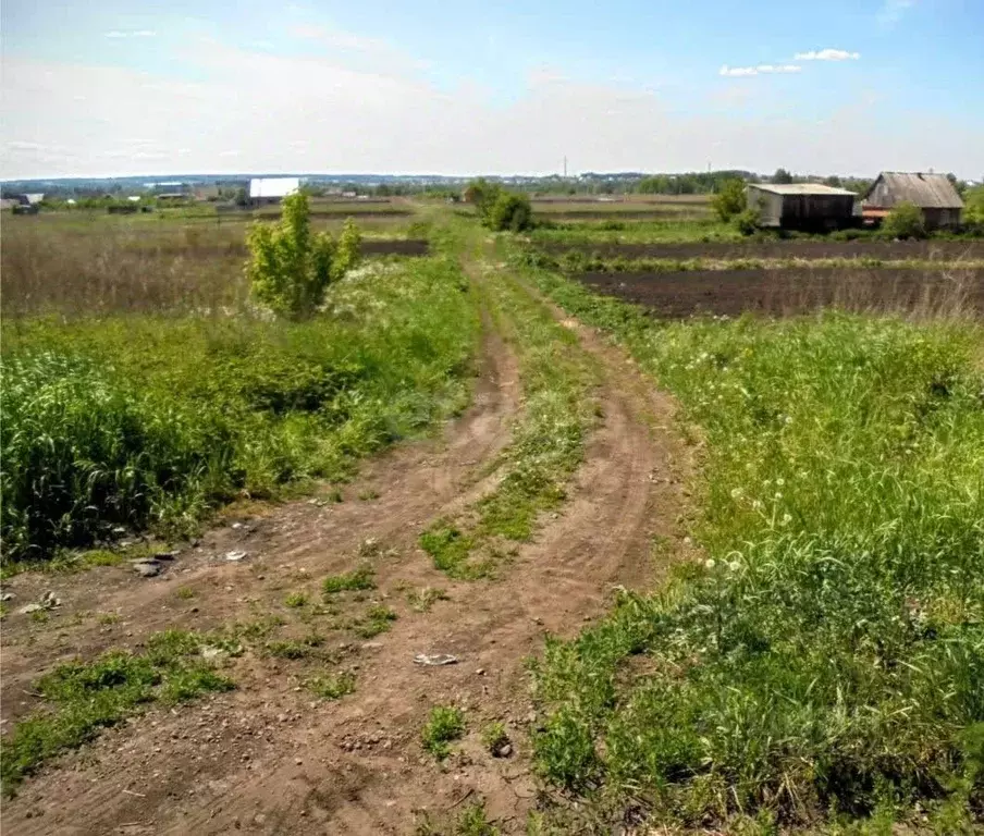 Участок в Кемеровская область, Кемеровский муниципальный округ, с. ... - Фото 0