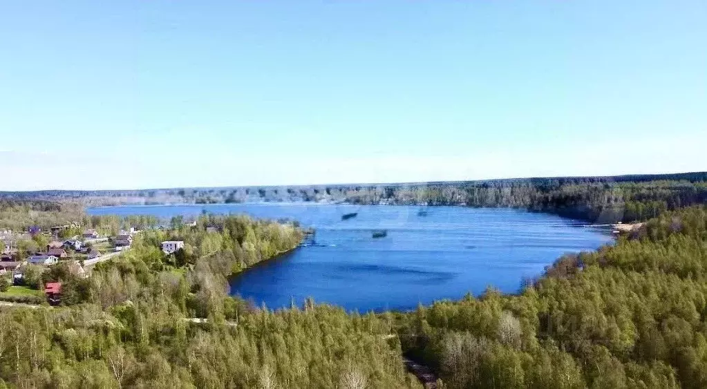 Участок в Ленинградская область, Выборгский район, Полянское с/пос, ... - Фото 2