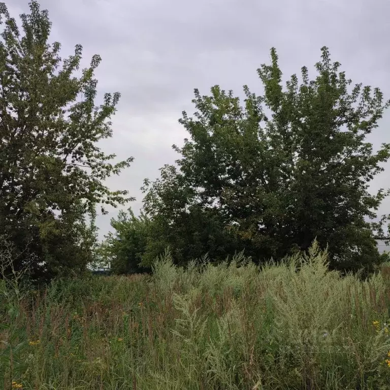 Участок в Московская область, Павлово-Посадский городской округ, д. ... - Фото 1