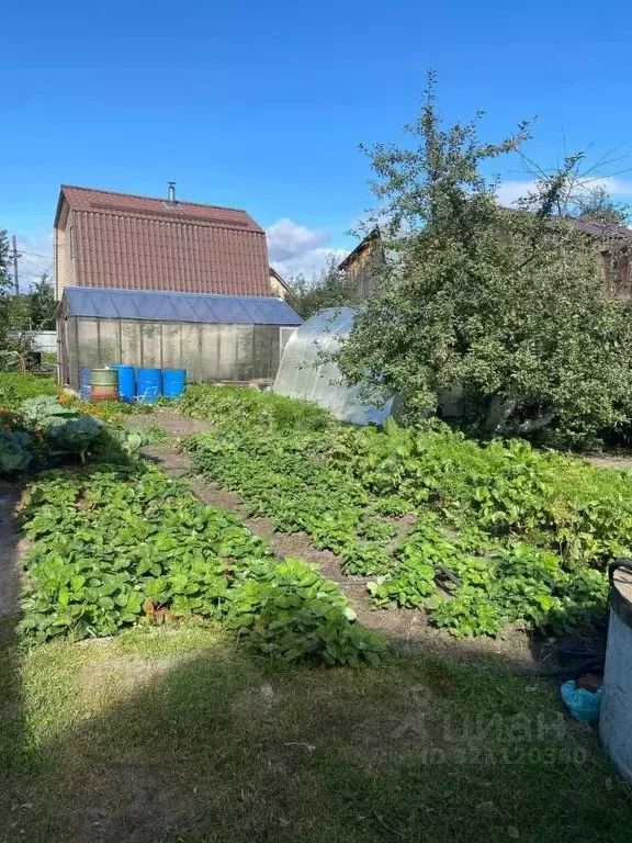 Дом в Тюменская область, Тюмень Бирюсинка СНТ, ул. Озерная (31 м) - Фото 0