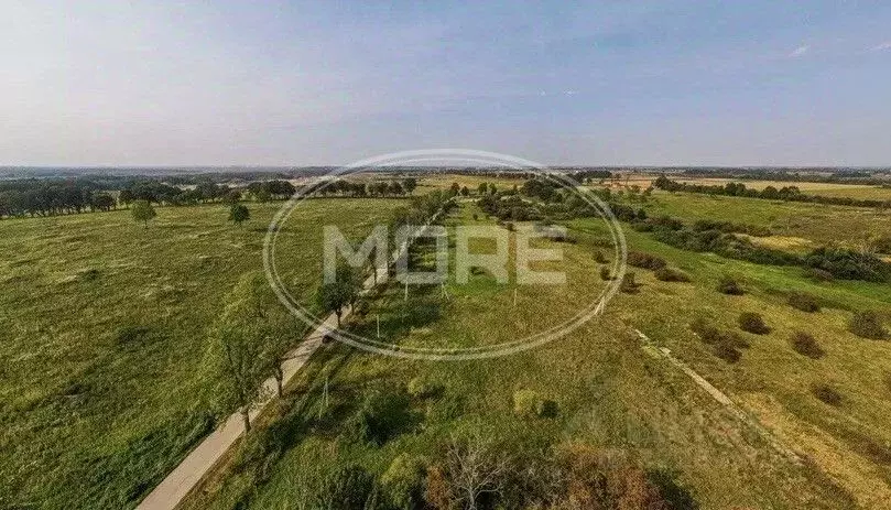 Участок в Калининградская область, Гурьевский муниципальный округ, ... - Фото 1