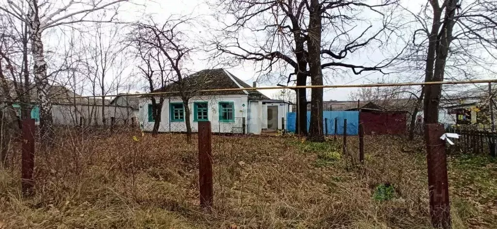 Дом в Белгородская область, Губкинский городской округ, с. Мелавое ул. ... - Фото 0