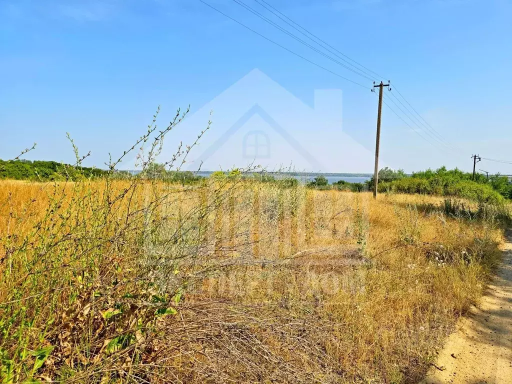 Участок в Ростовская область, Неклиновский район, ... - Фото 2