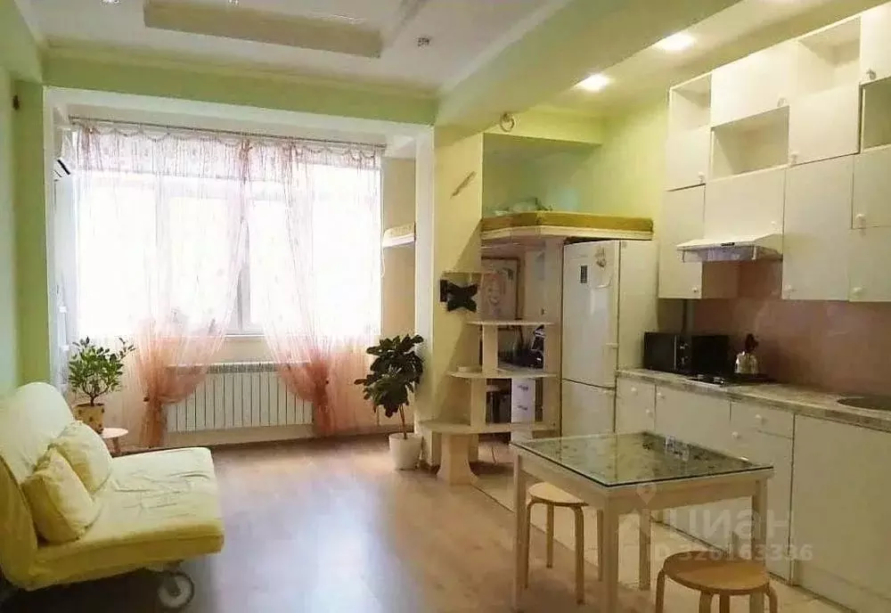 Студия Краснодарский край, Сочи Яна Фабрициуса мкр, ул. Метелева, 12 ... - Фото 1