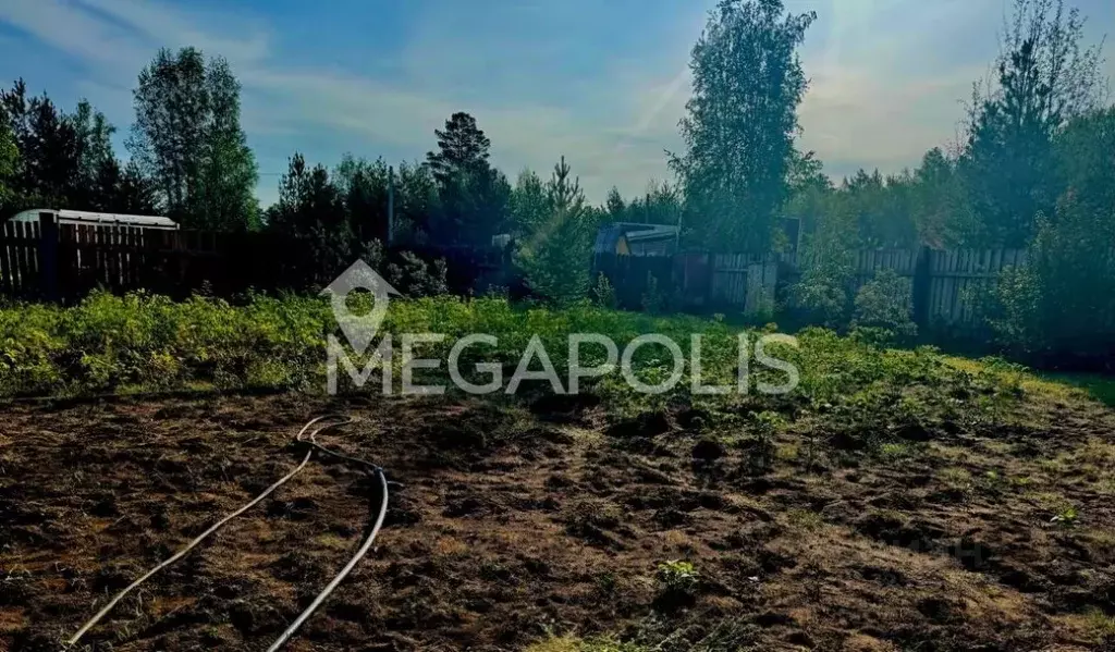 Участок в Забайкальский край, Чита № 132 Садовод ДНТ, 42А (7.7 сот.) - Фото 2