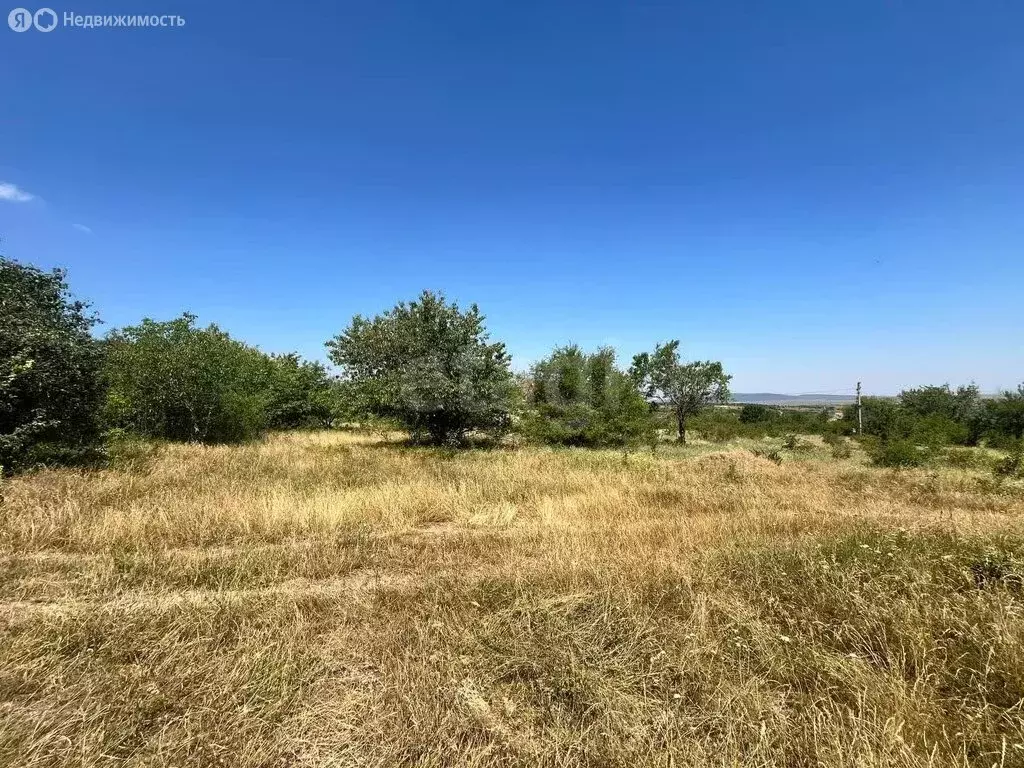 Участок в Добровское сельское поселение, СПК Источник (4.47 м) - Фото 0