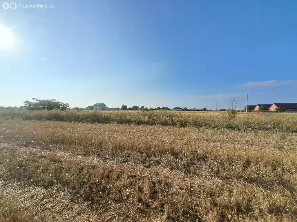 Участок в Кухаривка, Цветочная улица (15 м) - Фото 0
