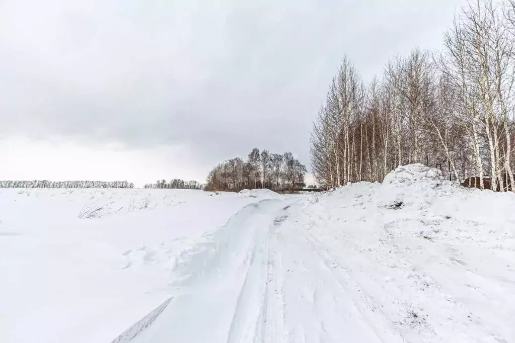 Участок в Новосибирская область, Бердск Марьин Лог СНТ,  (7.6 сот.) - Фото 0