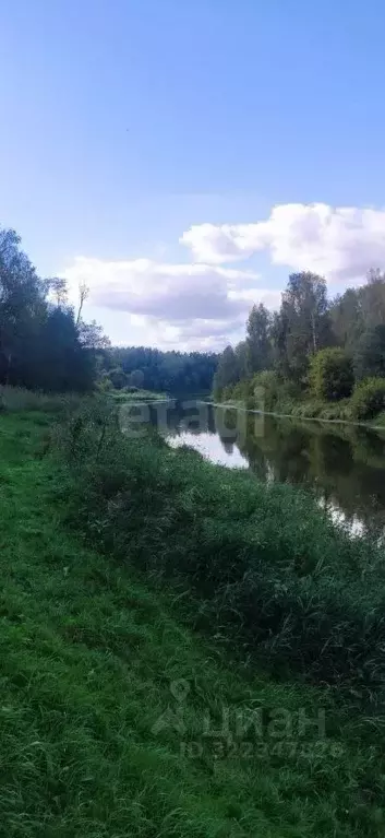 Участок в Ярославская область, Даниловский муниципальный округ, с. ... - Фото 2