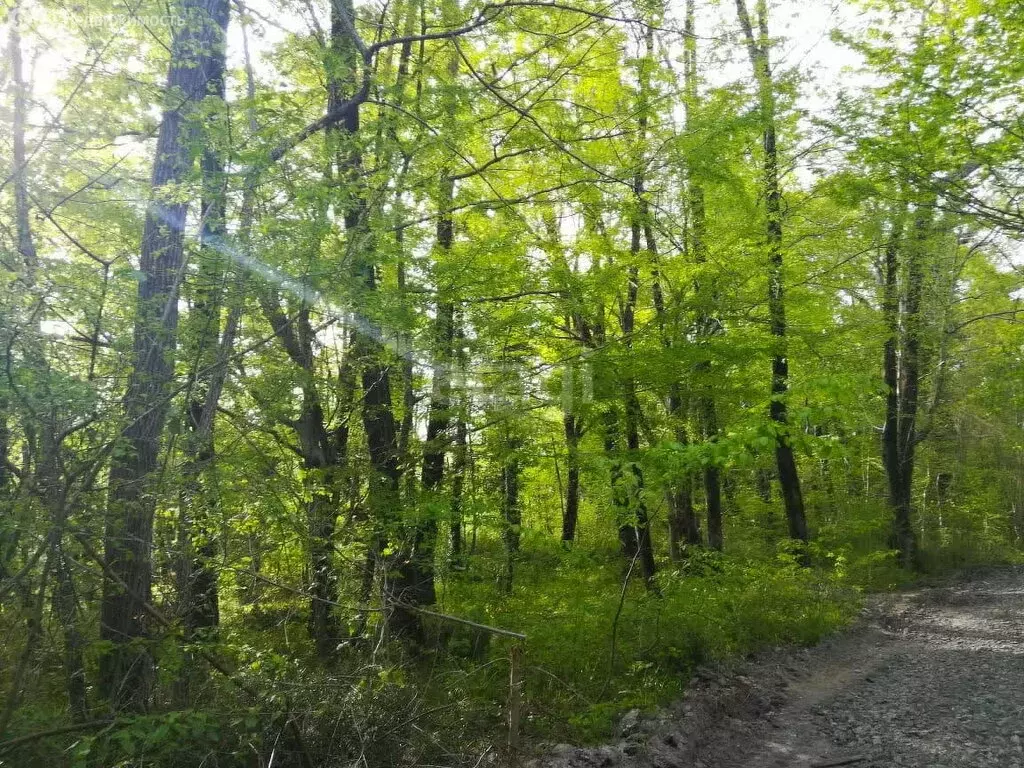 Участок в Краснодарский край, Туапсинский муниципальный округ, село ... - Фото 1