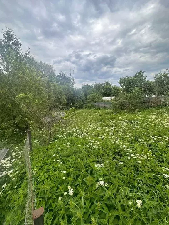 Дом в Калужская область, Медынь ул. Коммуны, 13 (33 м) - Фото 2