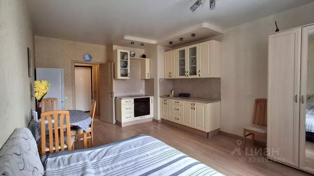 Студия Санкт-Петербург ул. Русановская, 9 (27.1 м) - Фото 1