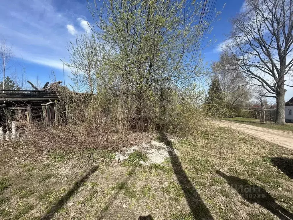 Дом в Костромская область, Нерехта ул. Красина, 27 (81 м) - Фото 1