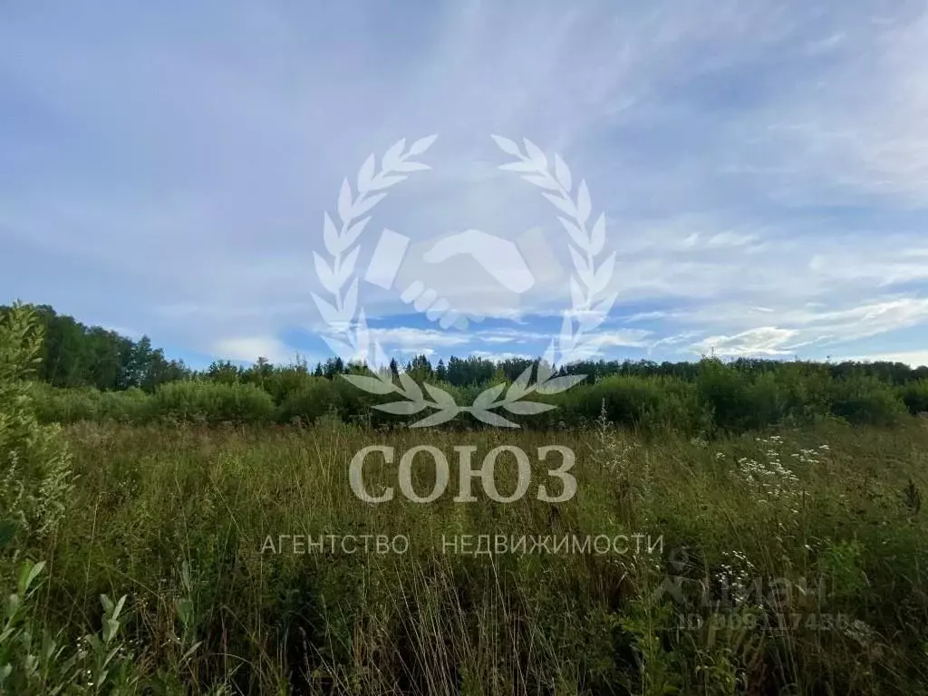 Участок в Калужская область, Медынский район, с. Адуево  (20.0 сот.) - Фото 2