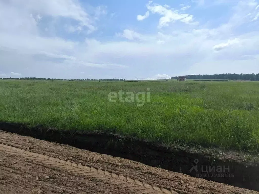 Участок в Иркутская область, Иркутский муниципальный округ, Садовые ... - Фото 0
