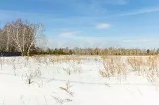 Участок в Тульская область, Тула муниципальное образование, с. Частое  ... - Фото 0