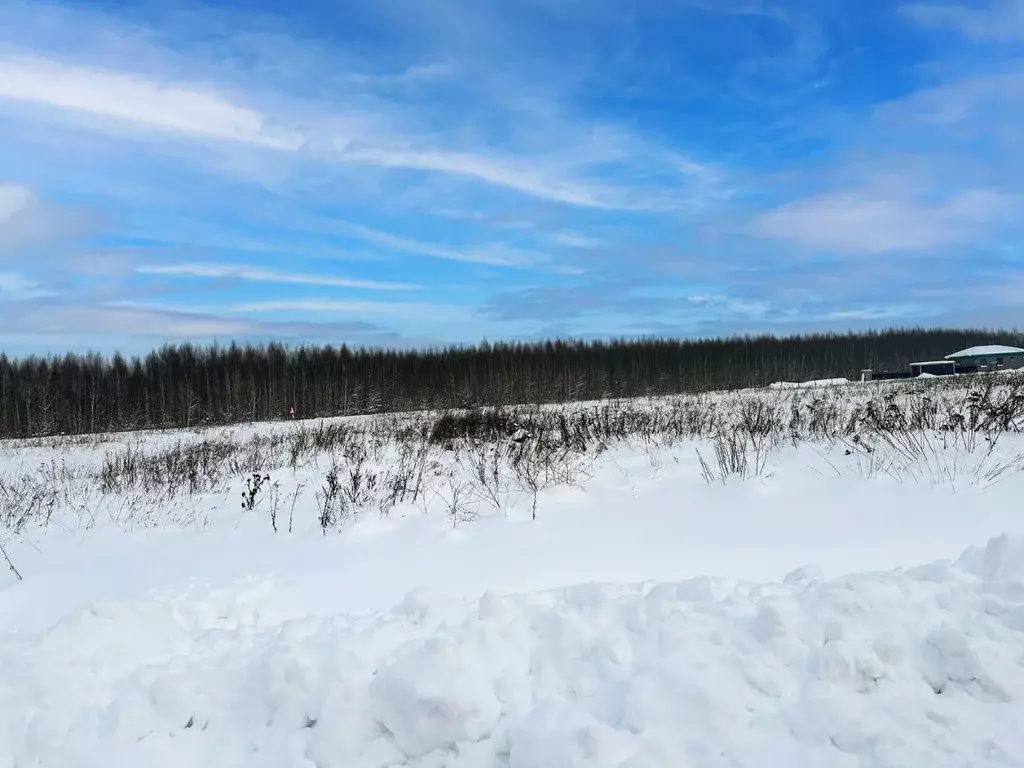 Участок в Московская область, Раменский муниципальный округ, Оттепель ... - Фото 1