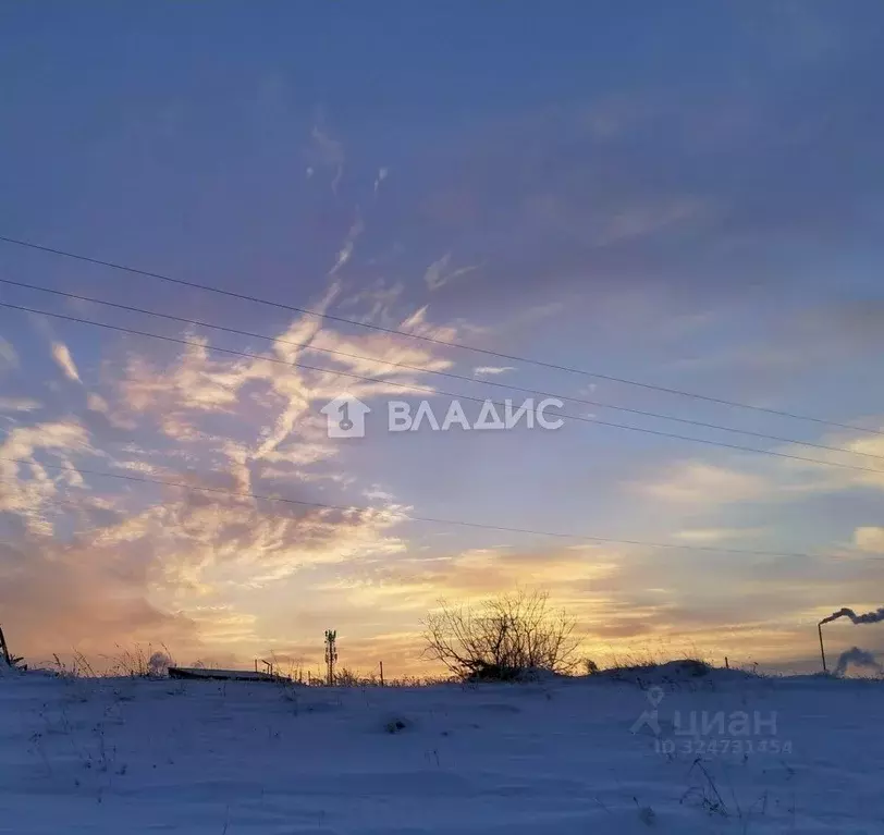 Участок в Иркутская область, Иркутский муниципальный округ, с. Урик  ... - Фото 1