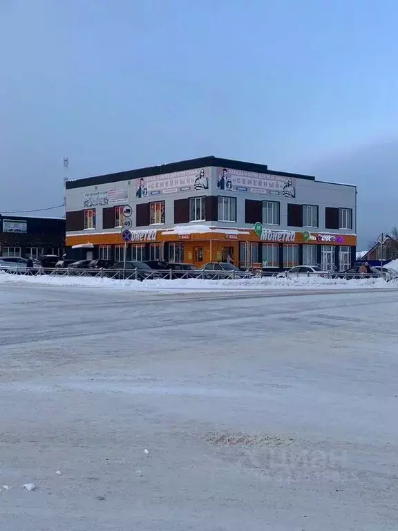 Помещение свободного назначения в Пермский край, с. Кочево ул. Анны ... - Фото 1