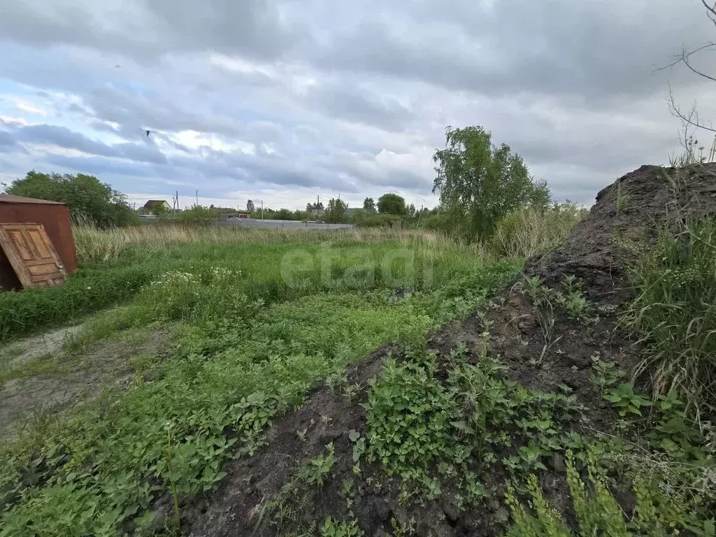 Участок в Тюменская область, Тюмень Садовое товарищество Липовый ... - Фото 1