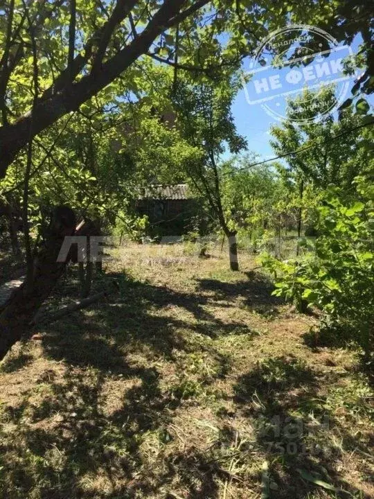 Участок в Ростовская область, Новочеркасск Виноградная Лоза СНТ,  (3.6 ... - Фото 0