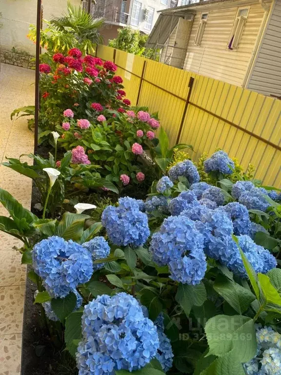 Дом в Краснодарский край, Сочи ул. Православная, 35/2 (414 м) - Фото 2