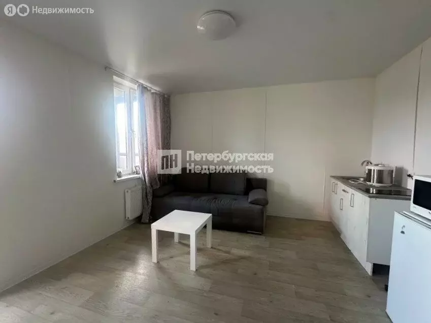 Квартира-студия: Новое Девяткино, Главная улица, 12 (24.1 м) - Фото 1