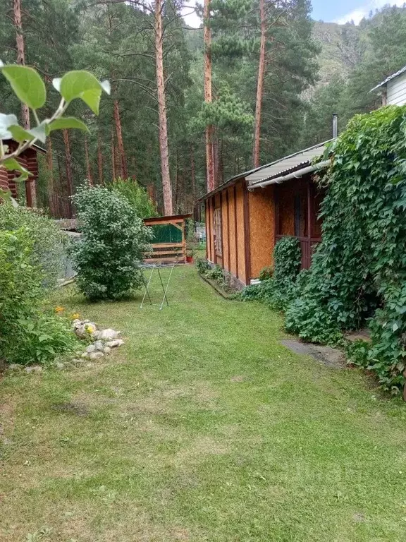 Участок в Алтай, Чемальский район, с. Чемал Садовая ул., 38 (11.36 ... - Фото 2