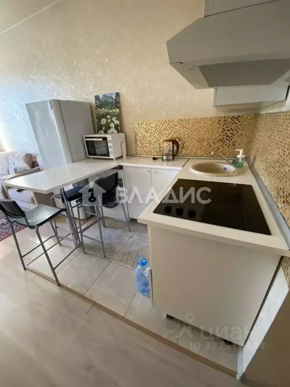 Студия Москва пос. Газопровод, ул. 5-я Лесные Поляны, 29 (22.0 м) - Фото 2