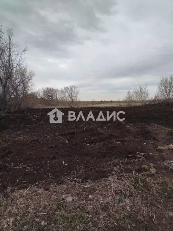 Участок в Татарстан, Нижнекамский район, с. Каенлы ул. Татарстан (15.0 ... - Фото 2