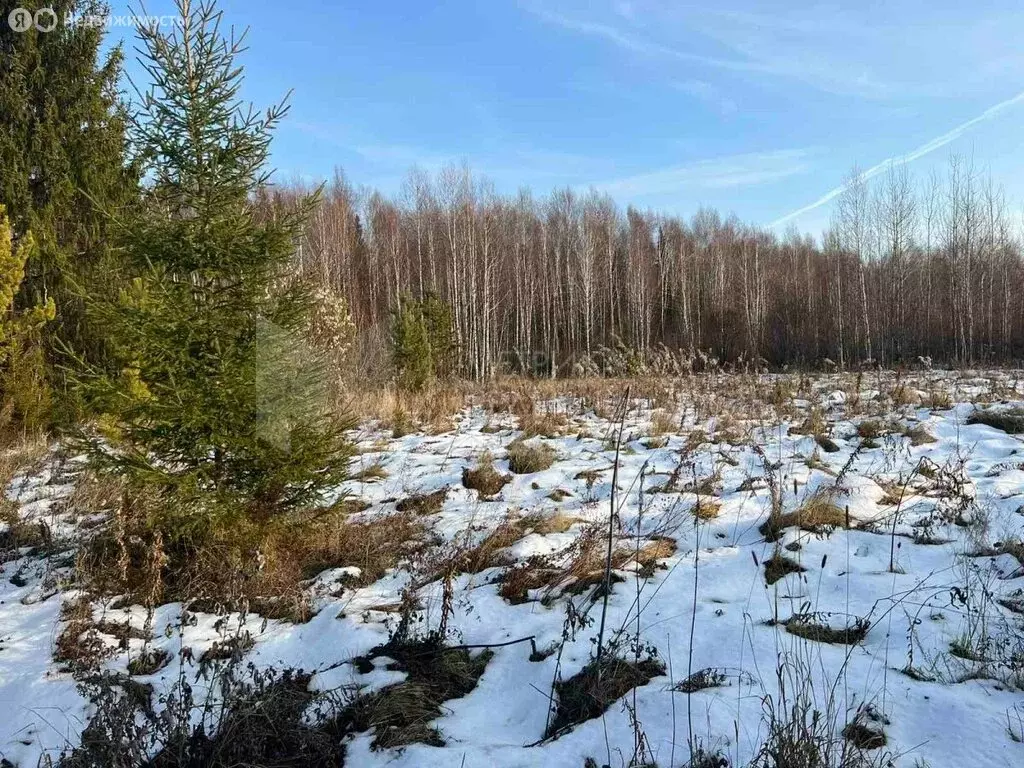 Участок в Нижнетавдинский район, поселок Лесозаводский (12.68 м) - Фото 1