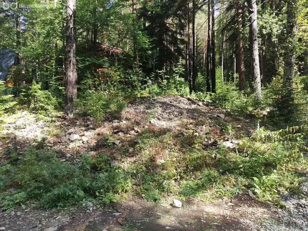 Участок в Зеленчукский район, село Архыз (6 м) - Фото 2