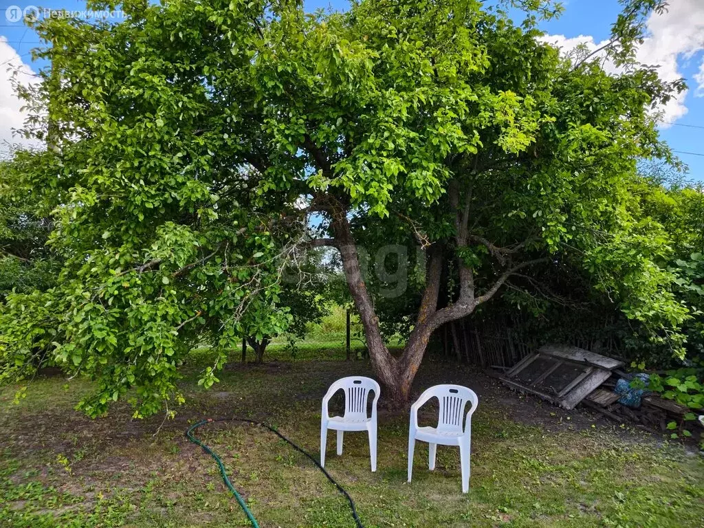 Дом в Тростянское муниципальное образование, СНТ Лужок (30 м) - Фото 1