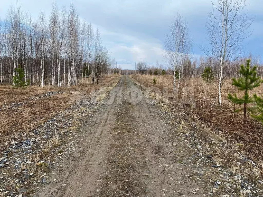 Участок в Новосибирская область, Мошковский район, Индия кп, ... - Фото 1