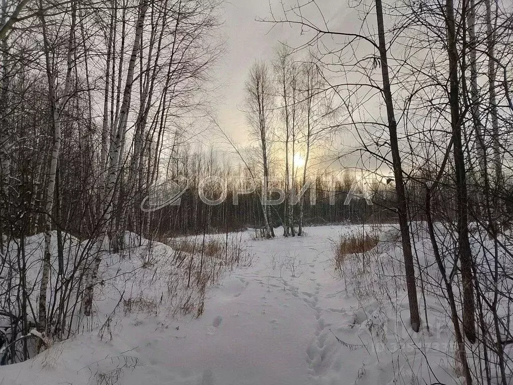 Участок в Тюменская область, Нижнетавдинский муниципальный округ, ... - Фото 2