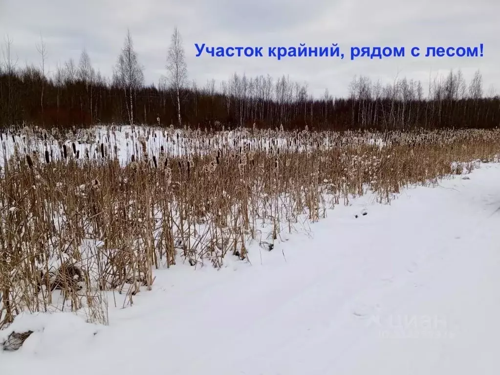 Участок в Ярославская область, Рыбинск Заволжский п/р, ул. ... - Фото 0