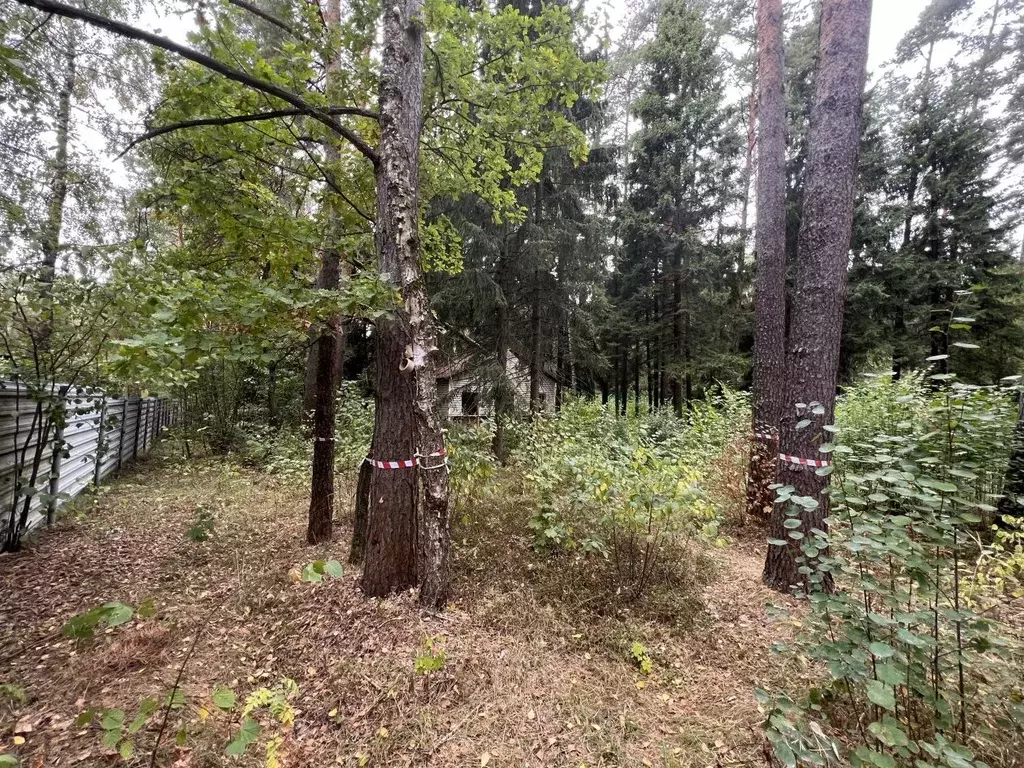 Участок в Московская область, Одинцовский городской округ, д. Маслово  ... - Фото 1