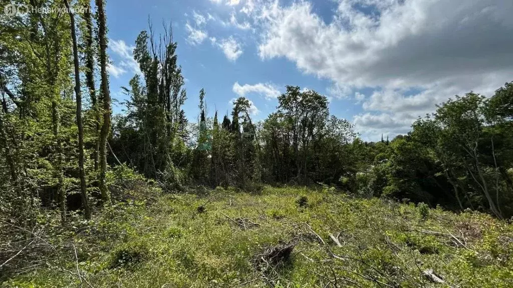 Участок в Краснодарский край, Сочи, микрорайон Аше (6 м) - Фото 2