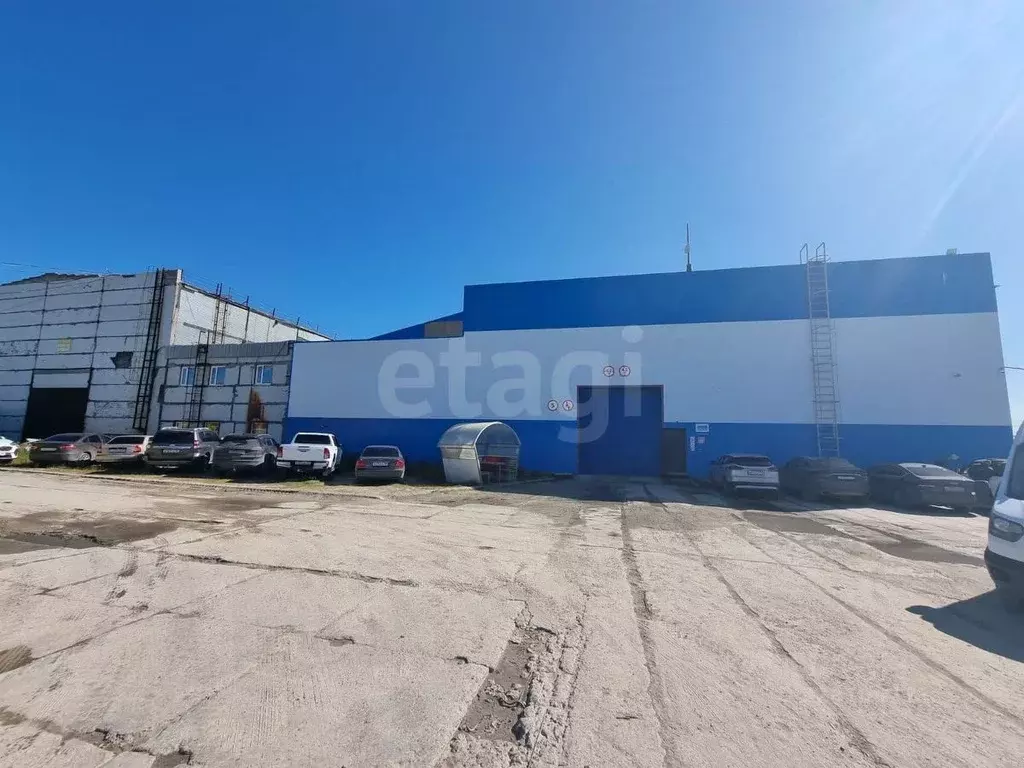 Помещение свободного назначения в Ямало-Ненецкий АО, Новый Уренгой ... - Фото 2