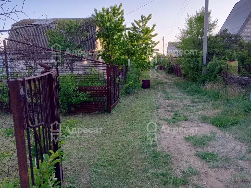 Дом в Волгоградская область, Волгоград Лесник СНТ,  (25 м) - Фото 0