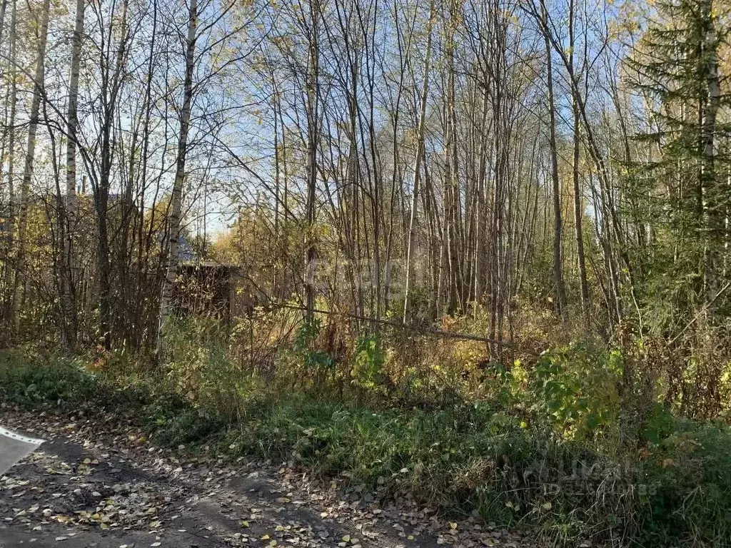 Участок в Коми, Корткеросский район, Додзь муниципальное образование, ... - Фото 2