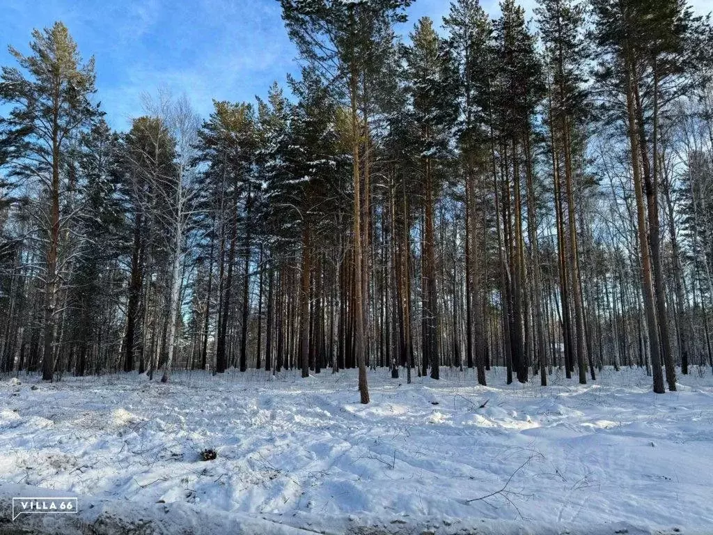 Участок в Свердловская область, Сысертский городской округ, пос. ... - Фото 0