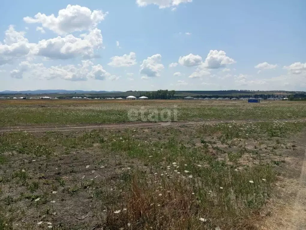 Участок в Краснодарский край, Новороссийск городской округ, ... - Фото 0