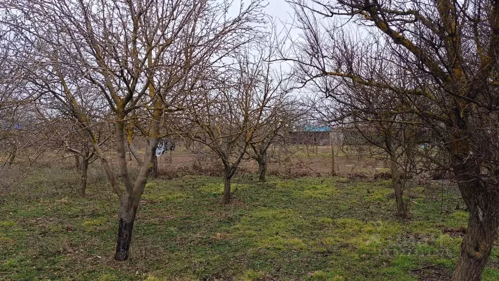 Участок в Краснодарский край, Ейский район, Камышеватская ст-ца ... - Фото 2