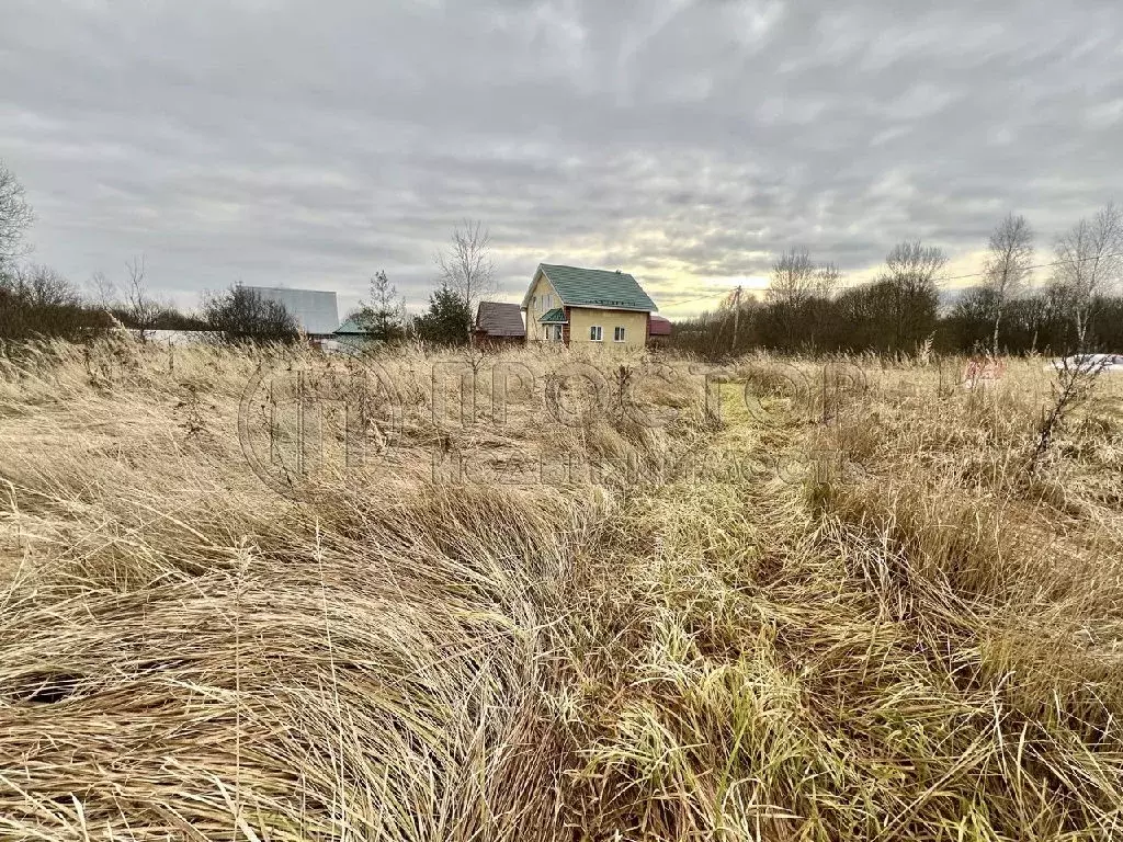 Продается участок в д. Мерлеево - Фото 2