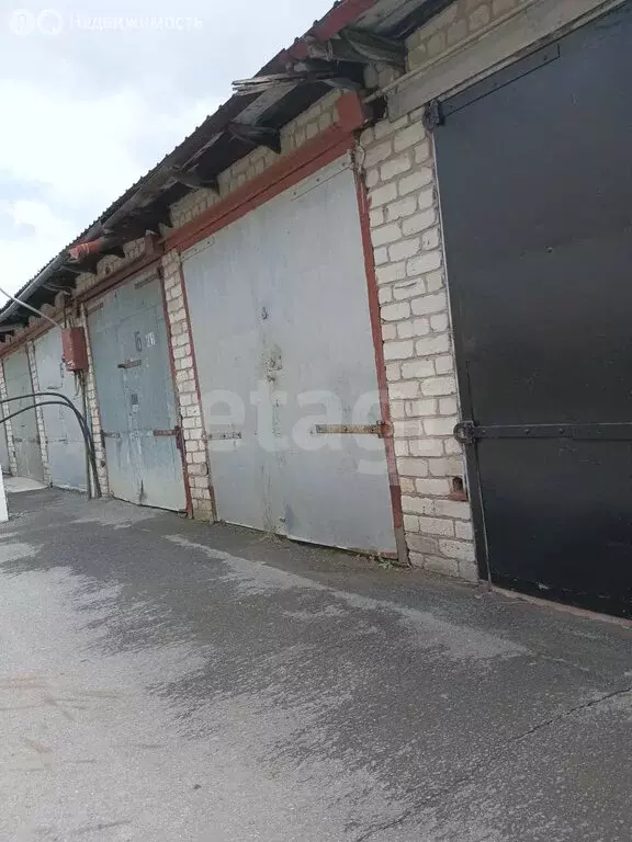Участок в Тюменская область, Ишимский муниципальный округ, село ... - Фото 2