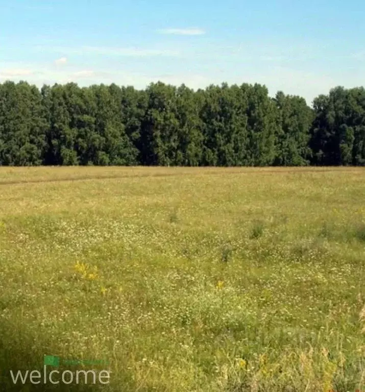 участок в ставропольский край, ставрополь приозерная ул. (6.8 сот.) - Фото 0