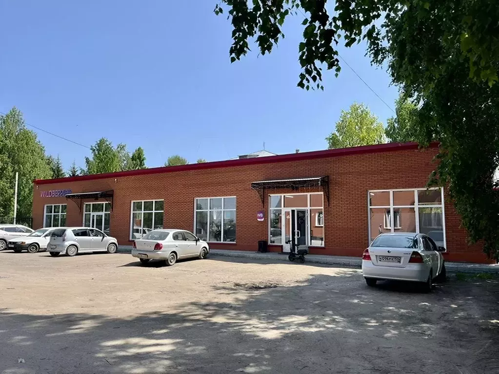 Помещение свободного назначения в Новосибирская область, Коченево рп ... - Фото 0