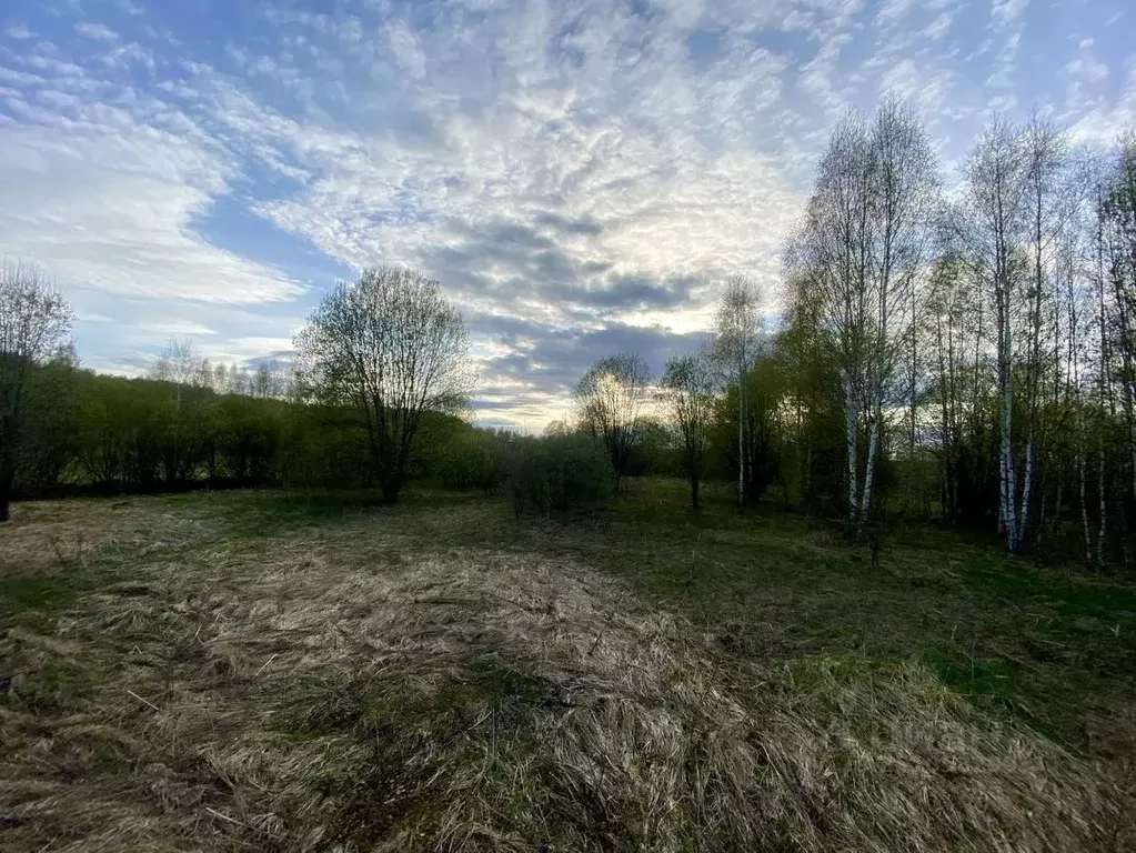 Участок в Владимирская область, Александровский муниципальный округ, ... - Фото 2