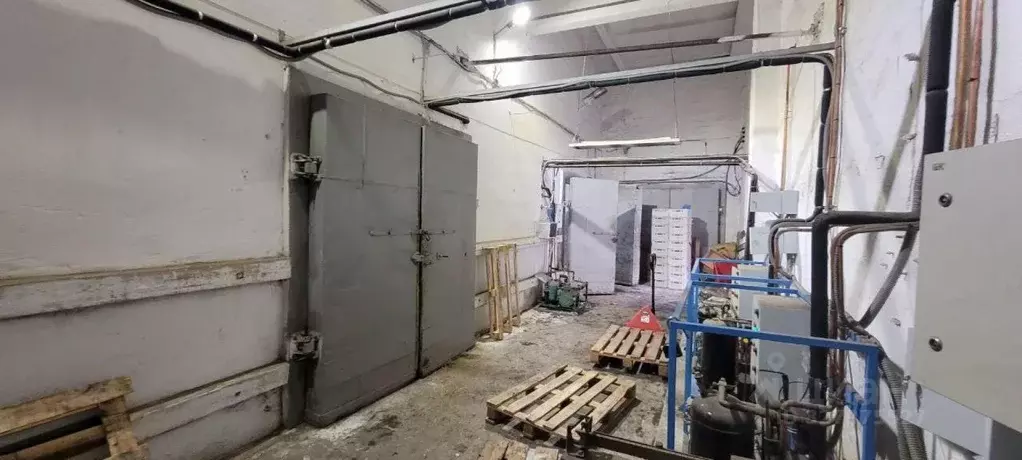 Склад в Иркутская область, Иркутск Киренская ул., 11 (79 м) - Фото 2